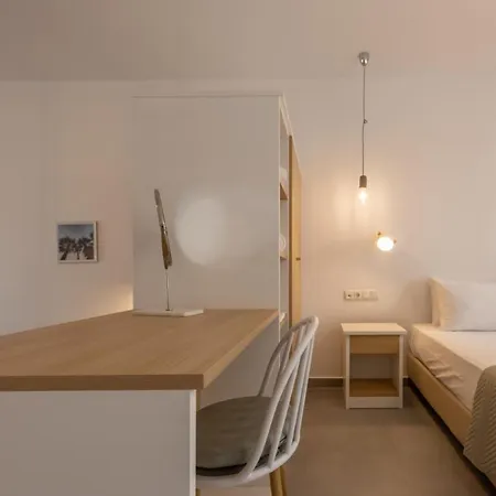 Olia Garden In Naxos Town דירה *